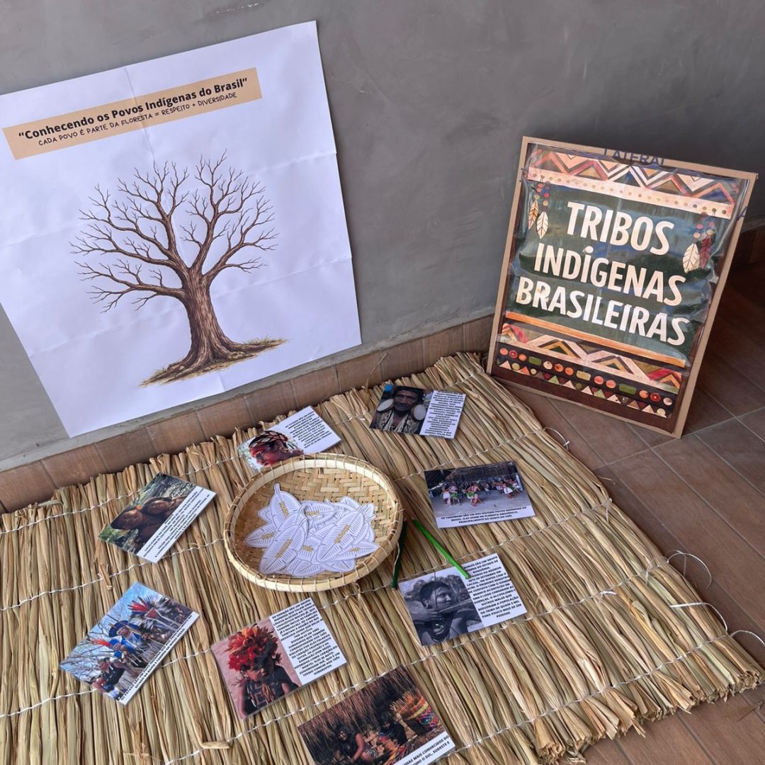 Combo Conhecendo os Povos Indígenas